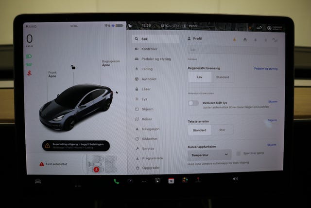 2019 TESLA MODEL 3 - 59