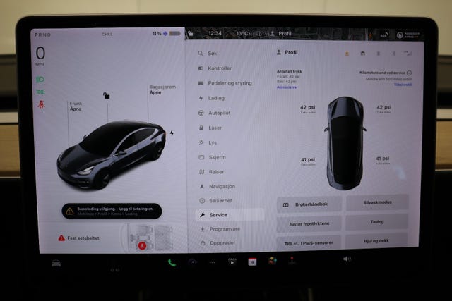 2019 TESLA MODEL 3 - 49