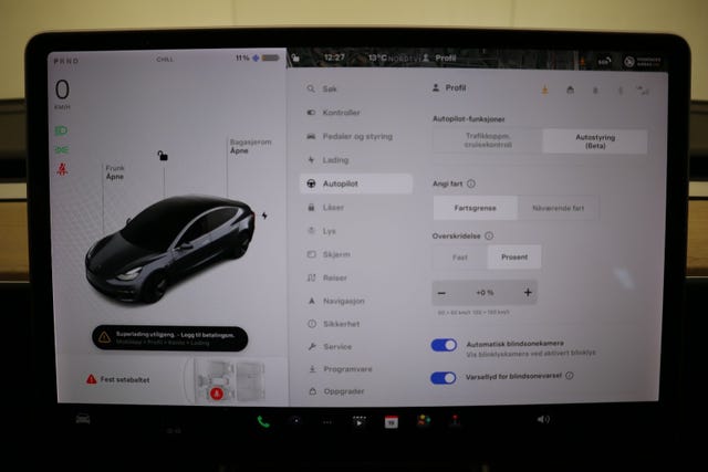 2019 TESLA MODEL 3 - 23