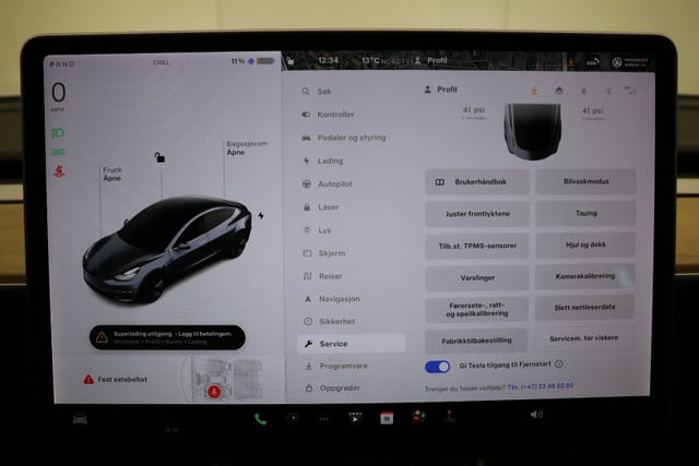 2019 TESLA MODEL 3 - 50