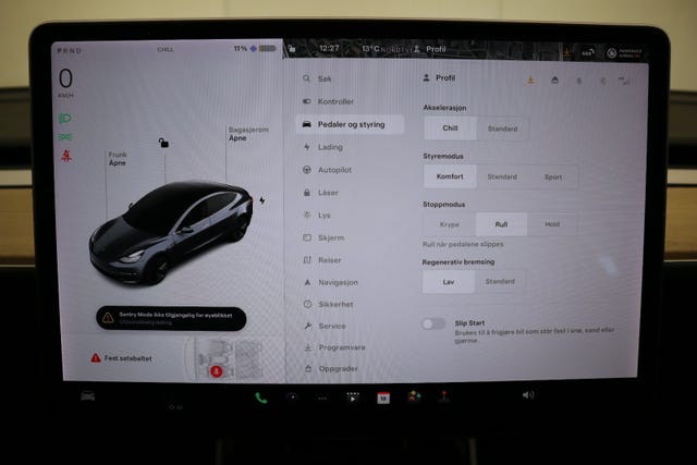 2019 TESLA MODEL 3 - 21