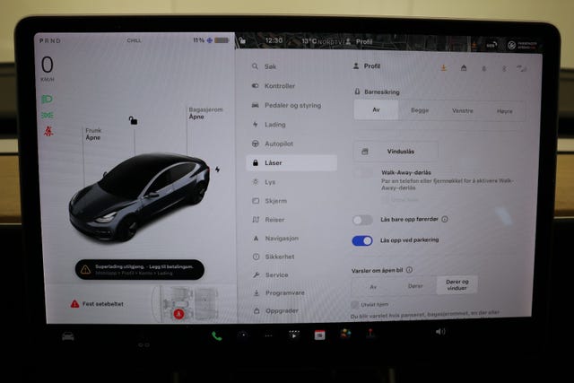 2019 TESLA MODEL 3 - 31