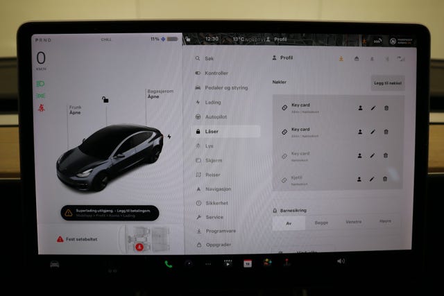 2019 TESLA MODEL 3 - 30