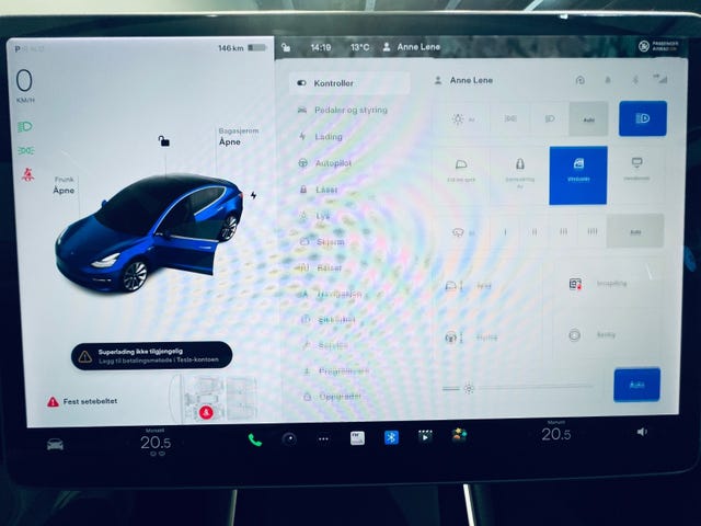 2019 TESLA MODEL 3 - 13