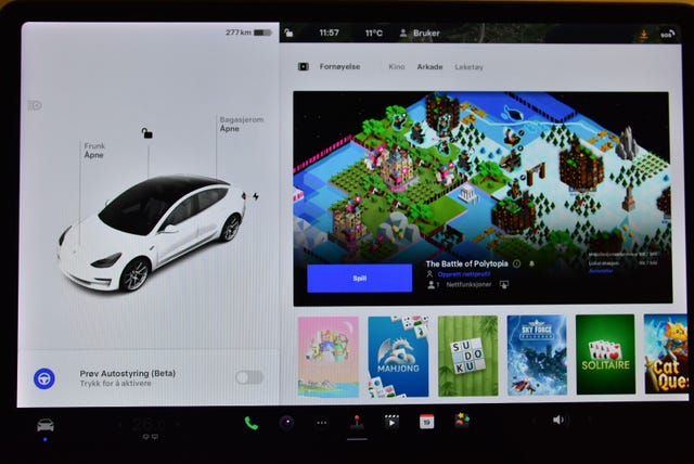 2019 TESLA MODEL 3 - 20