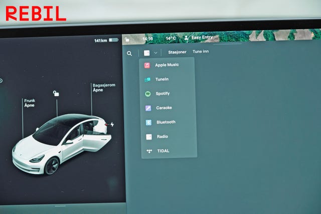 2021 TESLA MODEL 3 - 17
