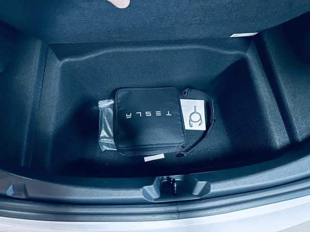 2021 TESLA MODEL 3 - 31