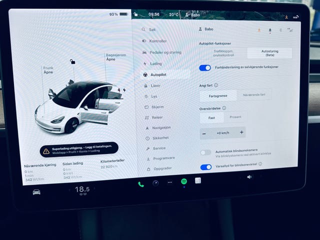 2021 TESLA MODEL 3 - 18