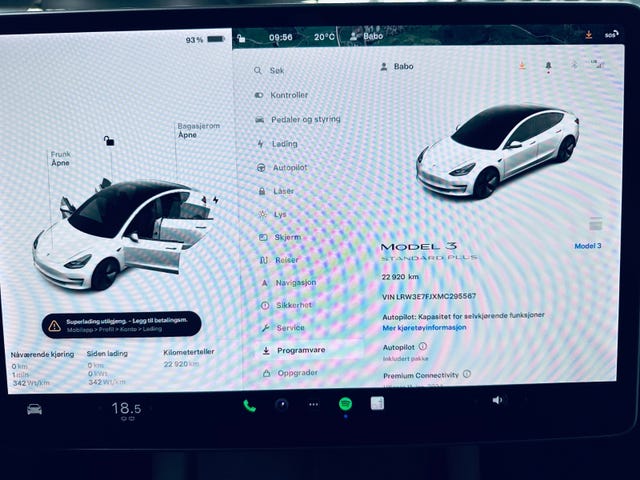 2021 TESLA MODEL 3 - 19