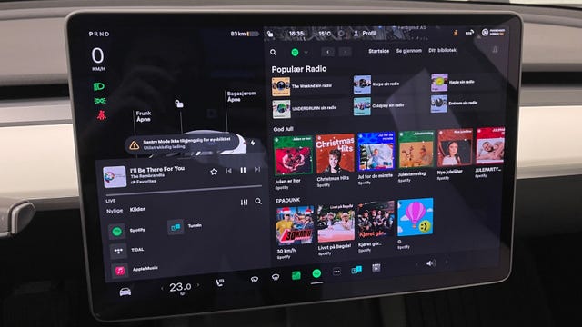 2021 TESLA MODEL 3 - 30