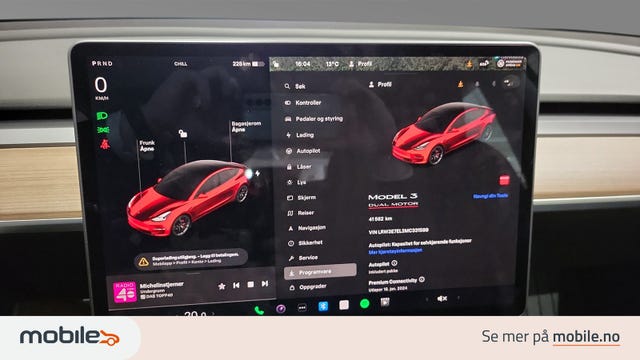 2021 TESLA MODEL 3 - 19