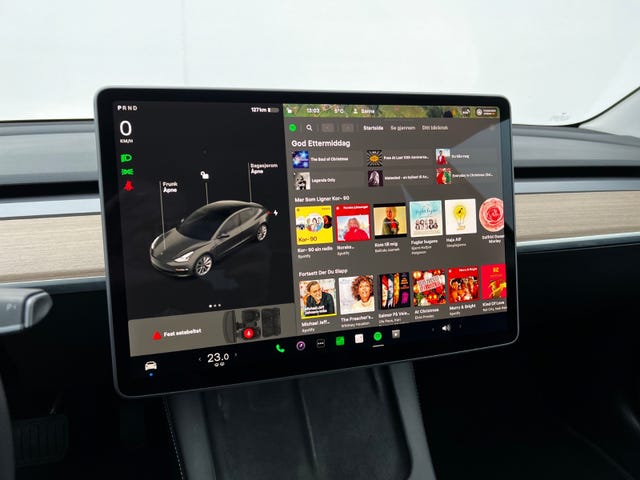 2021 TESLA MODEL 3 - 17