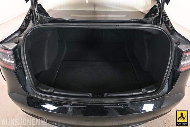 2019 TESLA MODEL 3 - 15