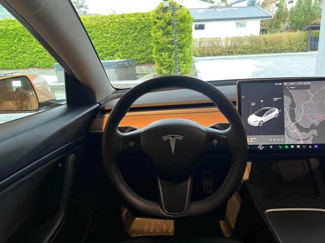 2021 TESLA MODEL 3 - 15