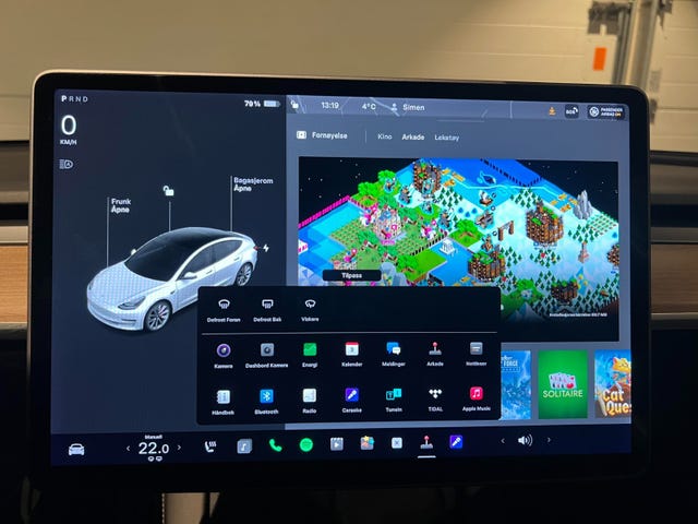 2021 TESLA MODEL 3 - 23
