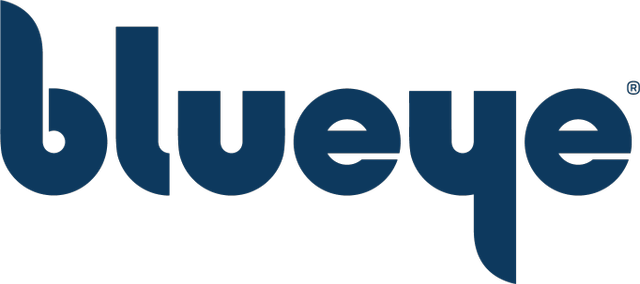BLUEYE ROBOTICS AS logo