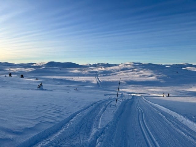 Skiløyper på snaufjellet Galleribilde