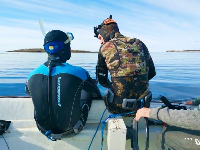 Fridykking Galleribilde