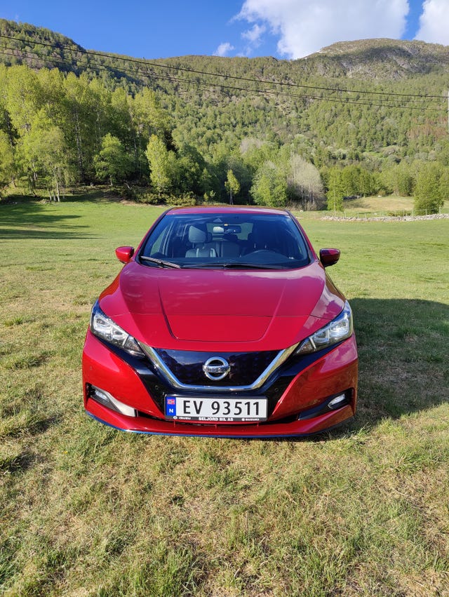 SJNFAAZE1U0076283 2019 NISSAN LEAF-0