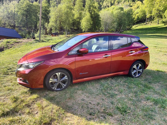 SJNFAAZE1U0076283 2019 NISSAN LEAF-2