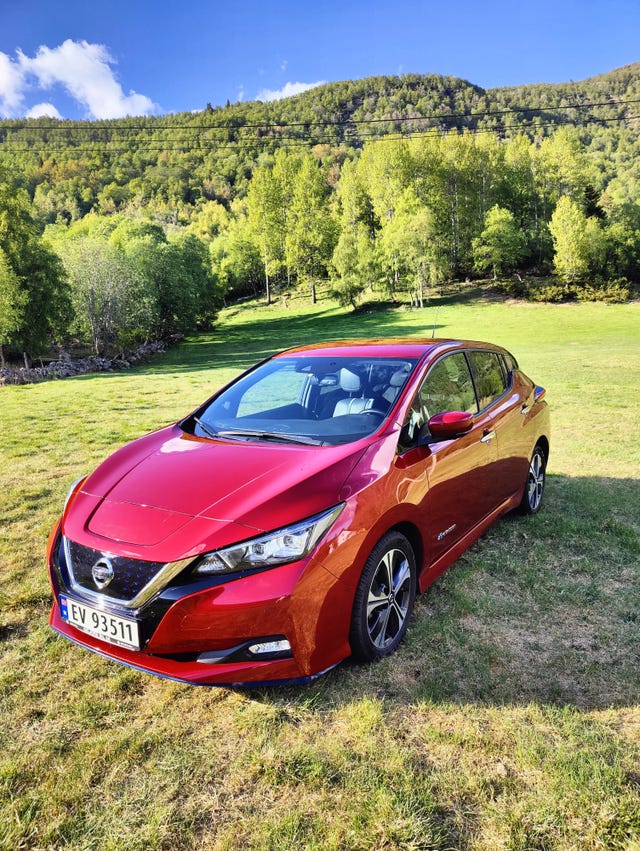SJNFAAZE1U0076283 2019 NISSAN LEAF-1