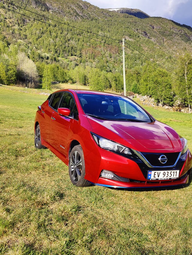 SJNFAAZE1U0076283 2019 NISSAN LEAF-5