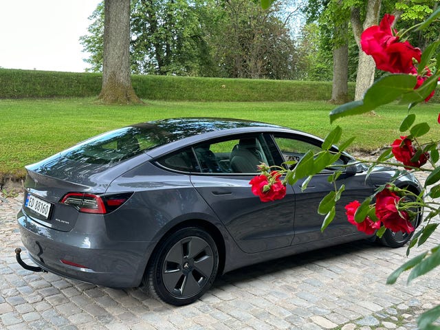 2022 TESLA MODEL 3 - 15