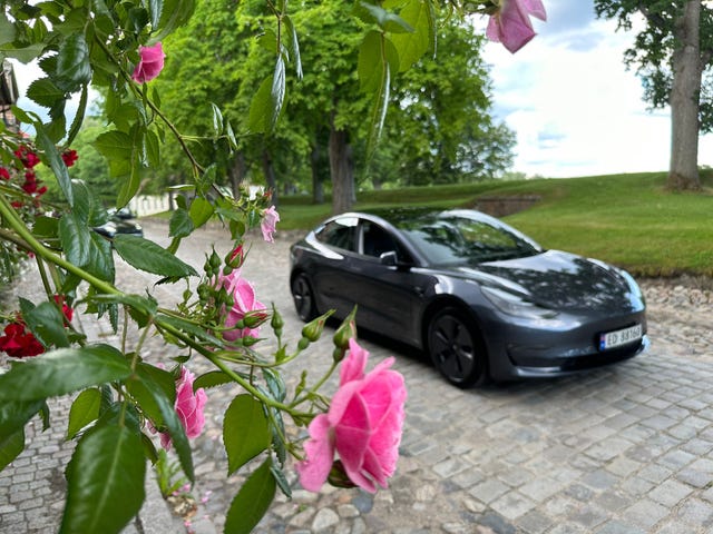 LRW3E7EK7NC511757 2022 TESLA MODEL 3-2