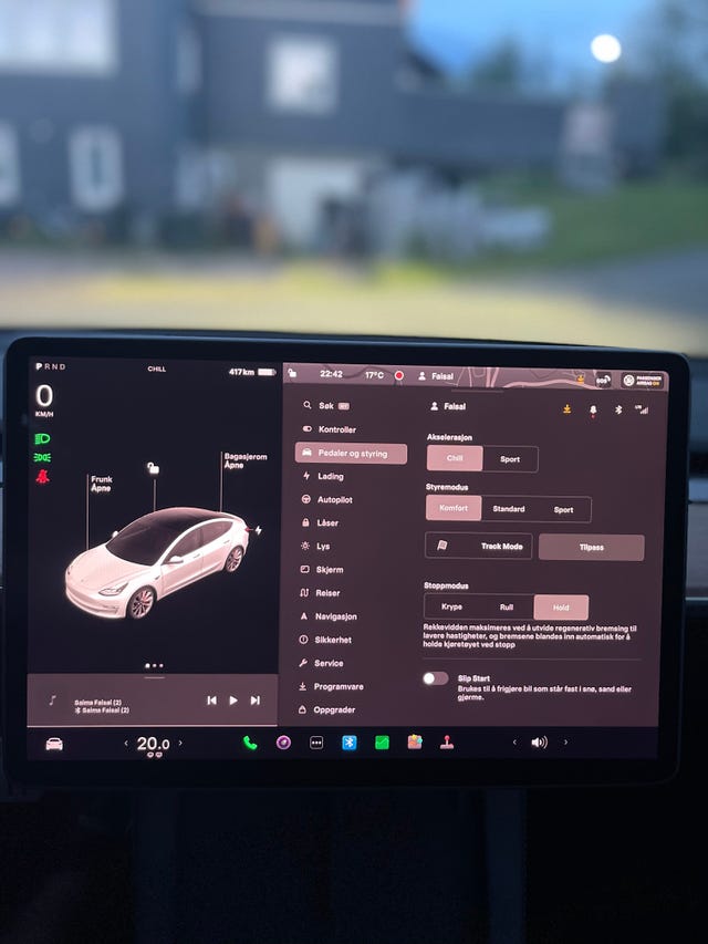 2021 TESLA MODEL 3 - 17