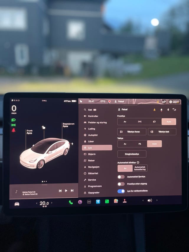 2021 TESLA MODEL 3 - 18