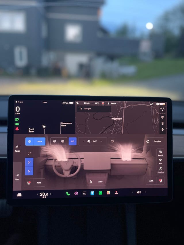 2021 TESLA MODEL 3 - 16