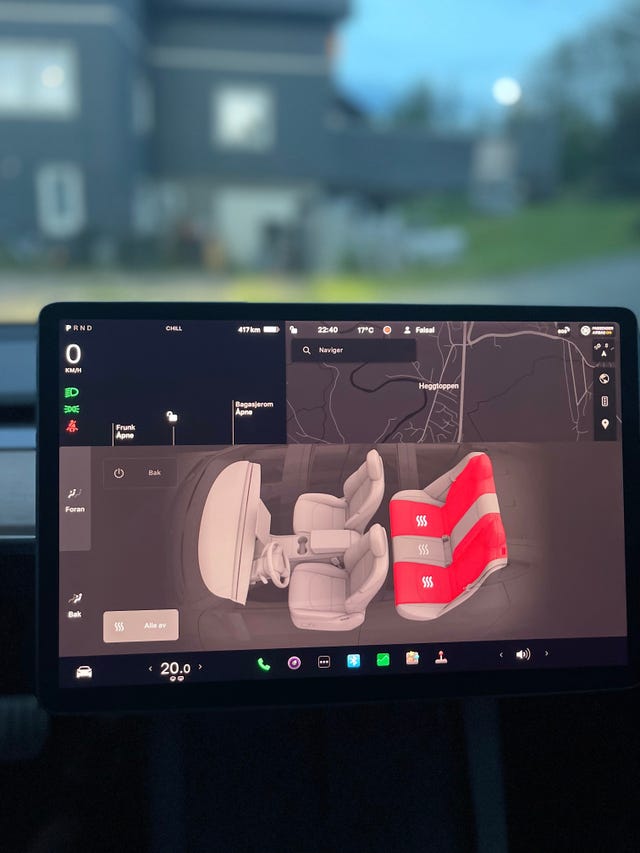 2021 TESLA MODEL 3 - 22