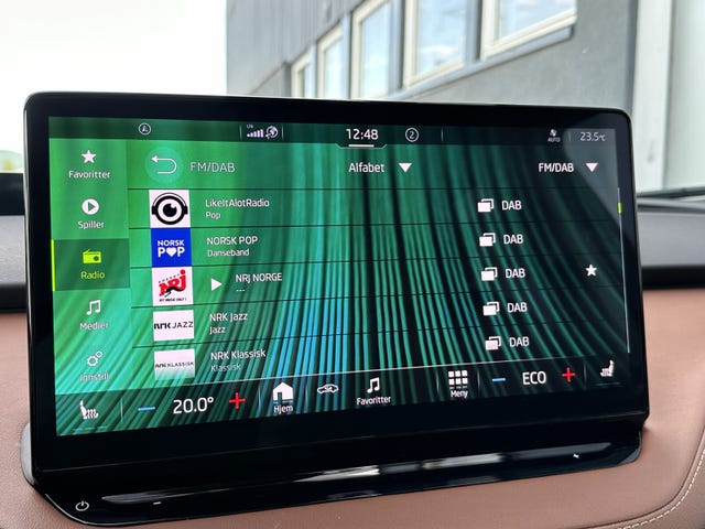 2021 SKODA ENYAQ - 21