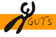 STIFTELSEN GUTS logo
