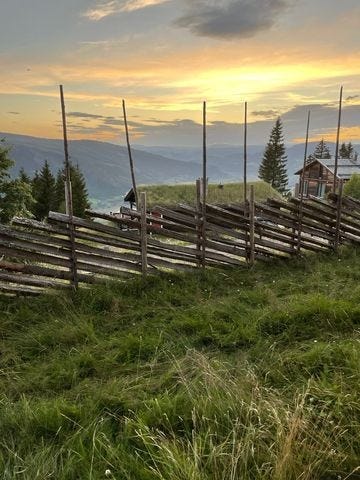 Utsikt fra bakkeplan Galleribilde