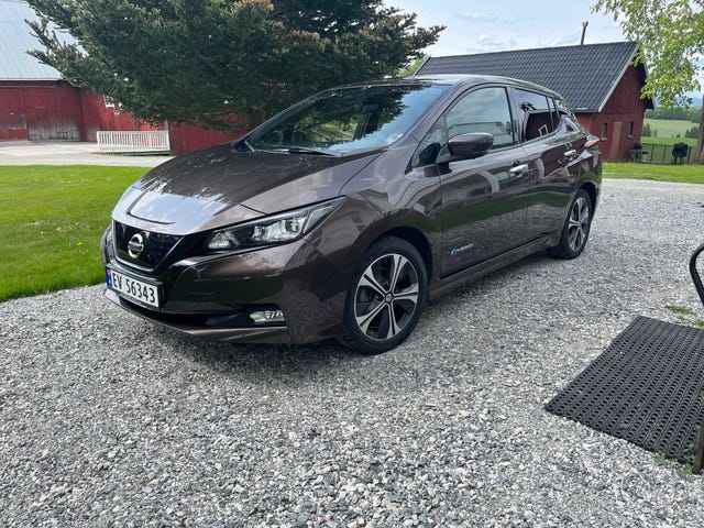 SJNFAAZE1U0054357 2019 NISSAN LEAF-3