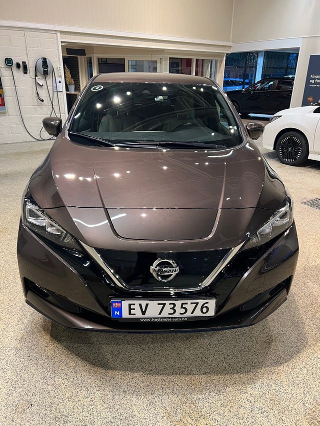 SJNFAAZE1U0061315 2019 NISSAN LEAF-0