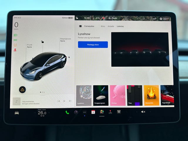 2021 TESLA MODEL 3 - 38