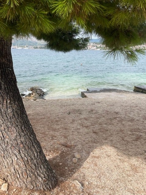 Stranden rett nedenfor Galleribilde