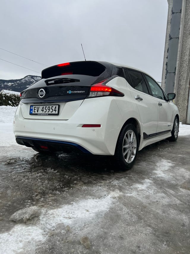 SJNFAAZE1U0051013 2019 NISSAN LEAF-3