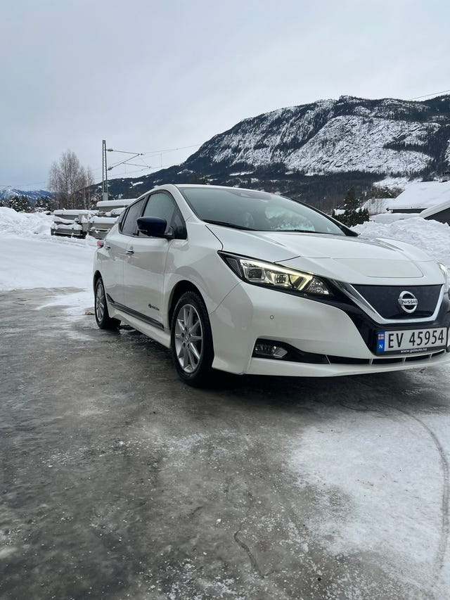 SJNFAAZE1U0051013 2019 NISSAN LEAF-1