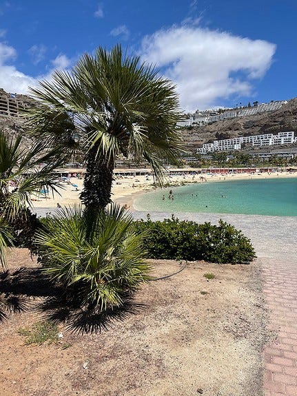 Amadores Galleribilde