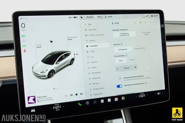 2019 TESLA MODEL 3 - 22