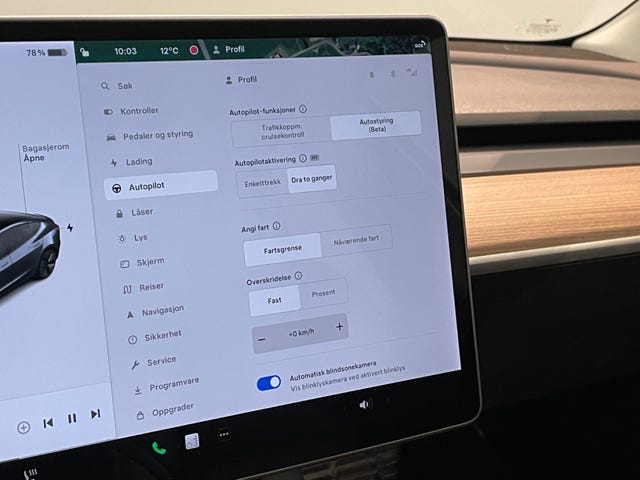 2021 TESLA MODEL 3 - 16