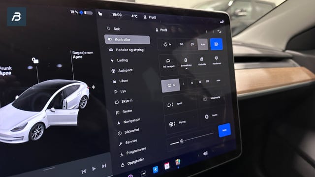 2019 TESLA MODEL 3 - 30