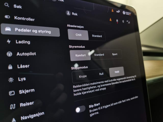 2021 TESLA MODEL 3 - 33