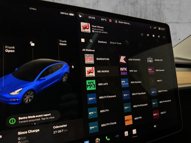 2021 TESLA MODEL 3 - 23
