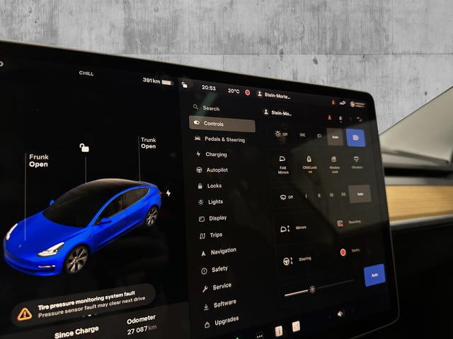 2021 TESLA MODEL 3 - 19