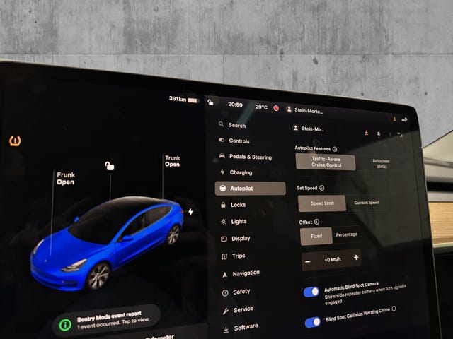 2021 TESLA MODEL 3 - 20