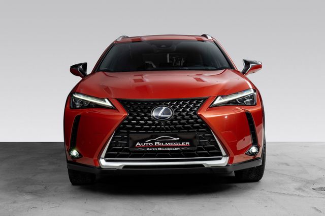 JTHAABBH102001564 2020 LEXUS UX-4